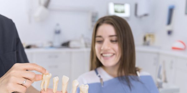 smiling-female-patient-looking-different-types-teeth-model